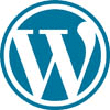 wordpress website